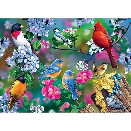 Audubon Audubon 31977 Audubon Songbird Collage Puzzle - 1000 Piece 31977